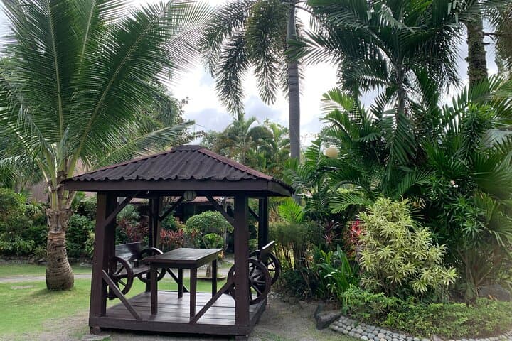 Tagaytay and Calamba Hot Springs Day Trip from Manila photo 2