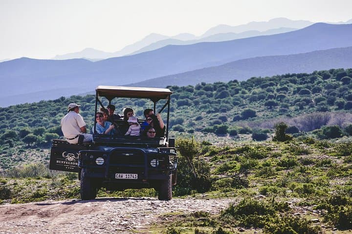 Garden Route 2-Day Big 5 Safari from Cape Town — Oudtshoorn & Botlierskop