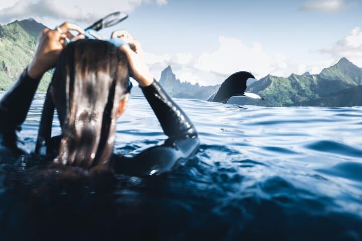 Swim with Humpback Whales in Moorea — Responsible Half-Day Encounter photo 3