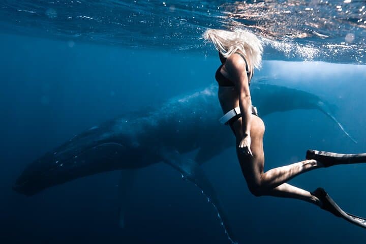 Swim with Humpback Whales in Moorea — Responsible Half-Day Encounter photo 5
