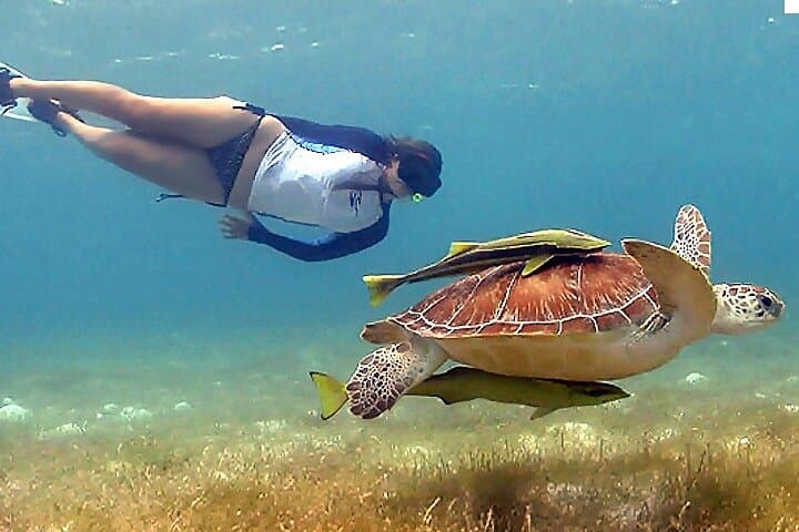 Private Tulum Ruins & Akumal Sea Turtle Snorkeling — Full-Day Tour from Cancun photo 1