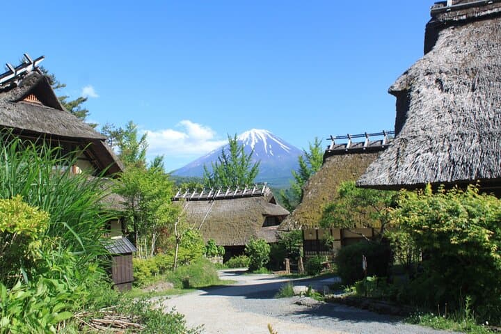 Private Fuji Spiritual Tour from Tokyo: Sacred Shrines, Aokigahara & Kawaguchiko photo 6