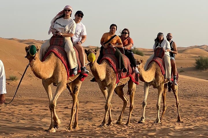 Dubai Sunset Desert Safari: BBQ, Dune Bashing, Camel Rides & Dune Buggy photo 4