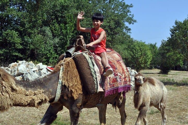 Camel Trek to Kayaköy Ghost Town: Half-Day Ride from Fethiye photo 2