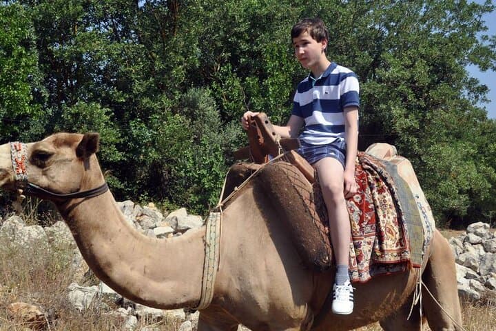 Camel Trek to Kayaköy Ghost Town: Half-Day Ride from Fethiye photo 4