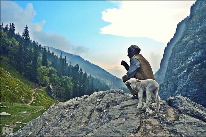 Lama Dugh Hike: Full-Day Guided Trek from Manali to Alpine Meadows photo 4