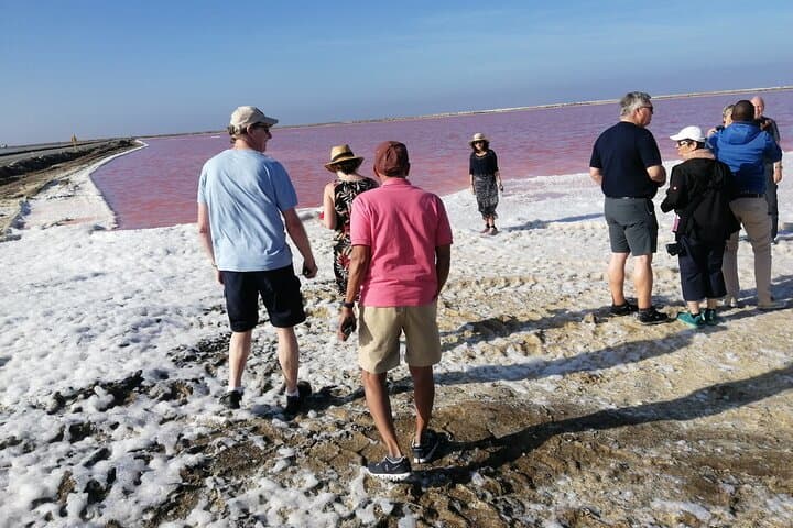 Walvis Bay Pelican Point & Dune 7: Lagoon Birding, Seal Colonies and Sandboarding photo 4