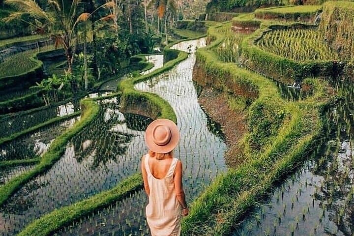 Ubud Explorer Private Day Tour: Rice Terraces, Waterfalls & Sacred Temples