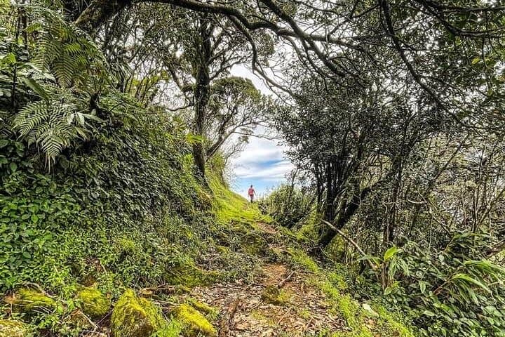 Hike Elephant Spine (Manigala) — Knuckles Backpackers Trail from Kandy photo 4