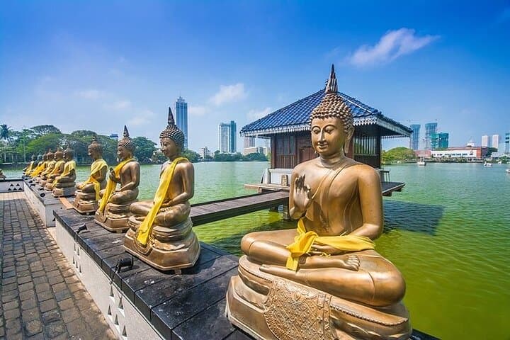 Sigiriya to Colombo Private Budget Transfer with Optional Sightseeing photo 4