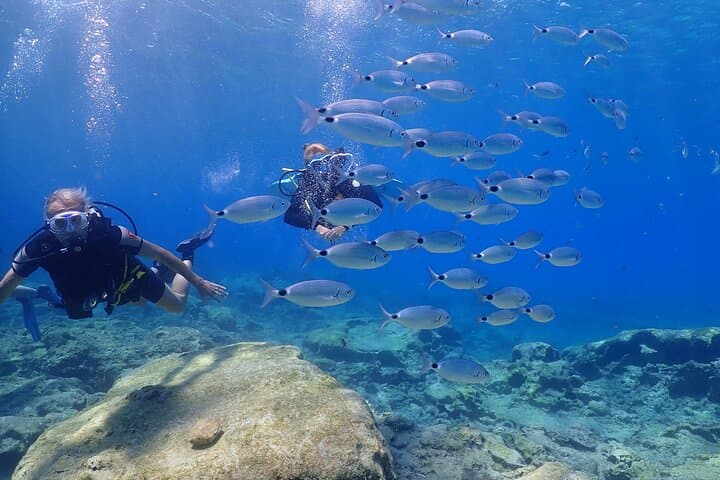 Introductory Scuba Diving in Protaras — Small-Group Green Bay Dive photo 4
