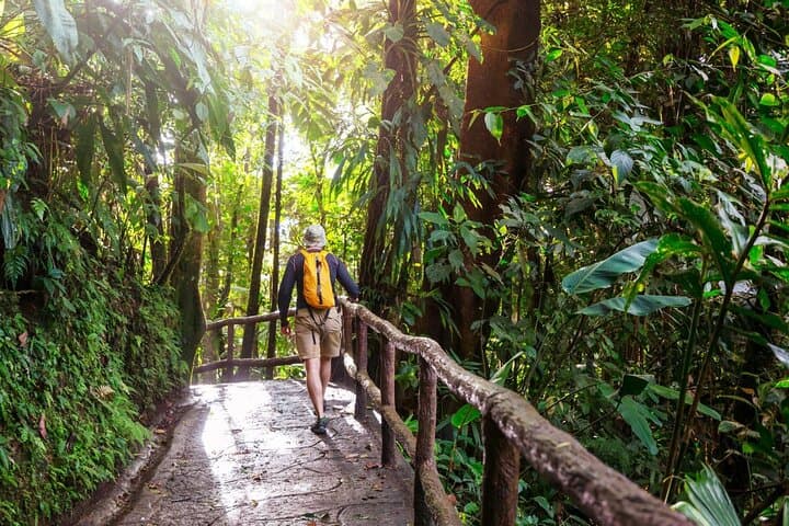 Full-Day Khao Yai National Park from Bangkok — Waterfalls, Wild Elephants & Short Jungle Trek