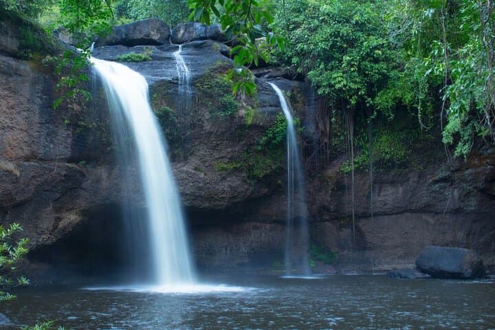 Full-Day Khao Yai National Park from Bangkok — Waterfalls, Wild Elephants & Short Jungle Trek photo 3