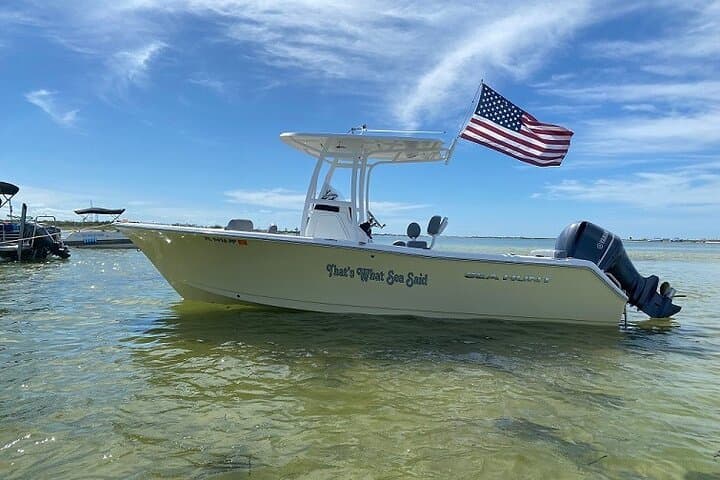 Madeira Beach & Shell Key: Half‑Day Private Dolphin and Sandbar Boat Tour