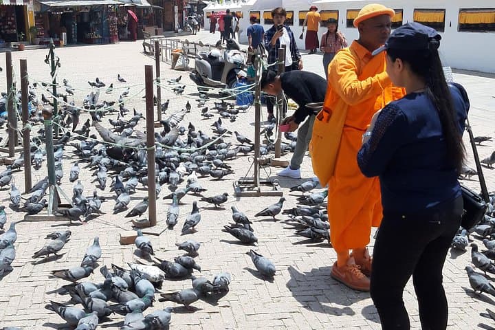 Private Day Tour of Kathmandu Valley World Heritage Sites photo 4