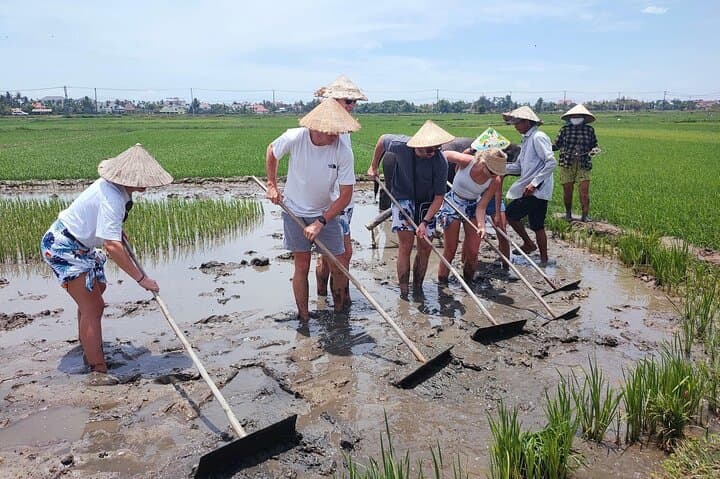 Hoi An Countryside Cycling: Buffalo Ride & Basket Boat Experience photo 2