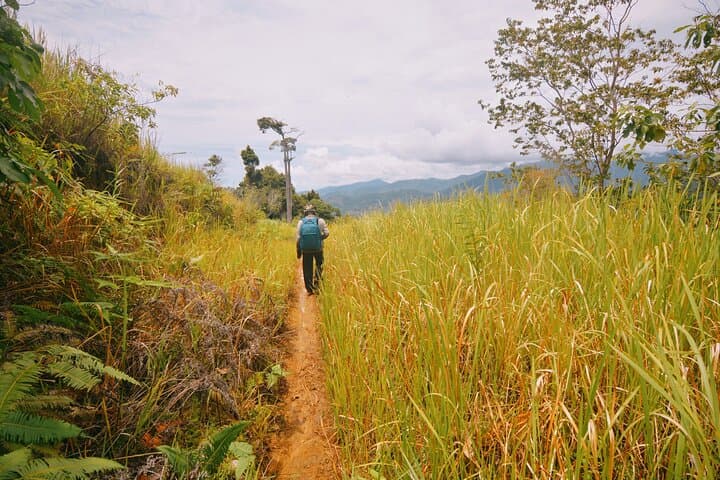 3-Day Survival Trek in the Leuser Ecosystem: Rainforest Camping & River Canoe photo 2