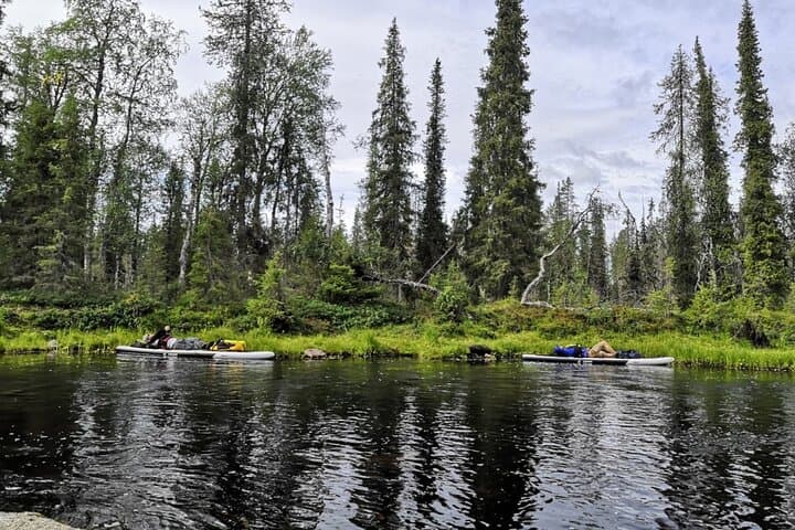 Stand Up Paddle Surf in Lapland: Silent River & Lake Tours from Rovaniemi photo 4