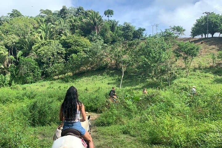 Roatán Sloth and Horseback Riding Adventure: Jungle Trails to Ocean Views photo 4