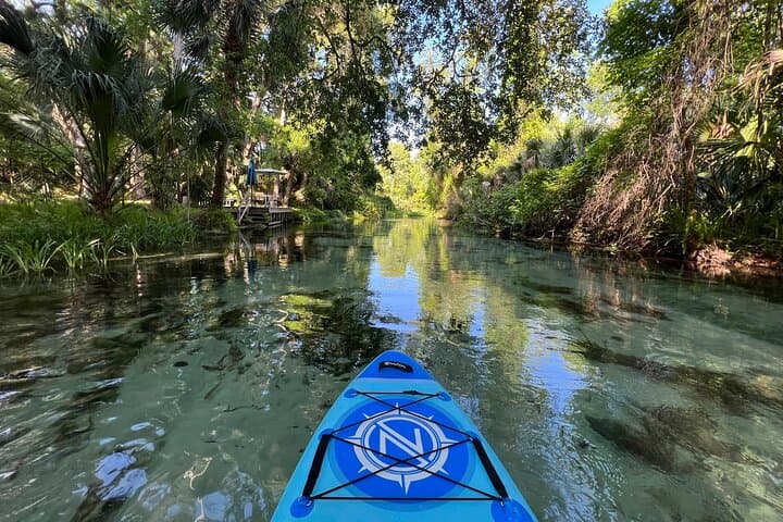 Emerald Cut Eco Paddleboard Excursion — Clear Springs Near Orlando photo 5
