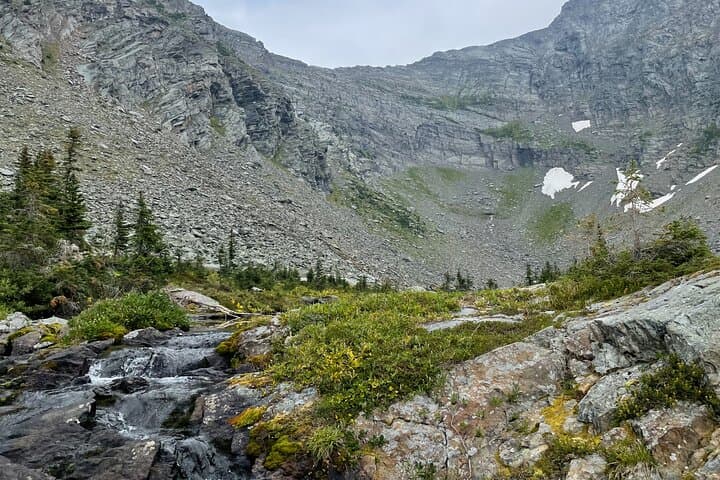 Cameron Ridge Bungalows: Hike Nora's Knob & Alpine Meadows by Quesnel Lake photo 6
