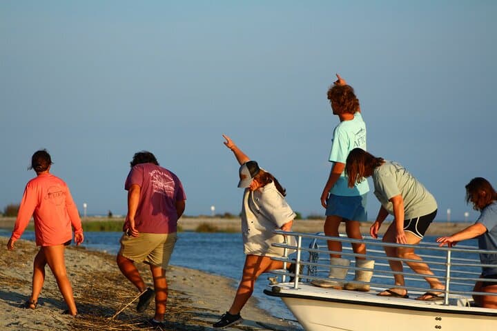 Folly Beach Eco Boat Excursion & Morris Island Drop-Off — Dolphin Watching Near Charleston photo 3