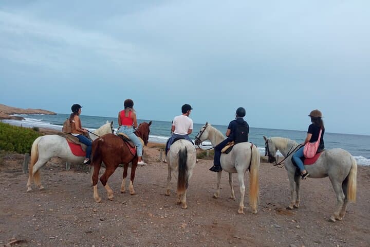Horseback Riding Calblanque Beach: Ride Along Murcia's Wild Coast photo 4