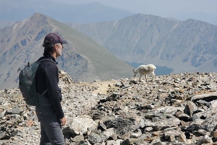 Half-Day Guided Scenic Colorado Mountain Hike in Summit County photo 4