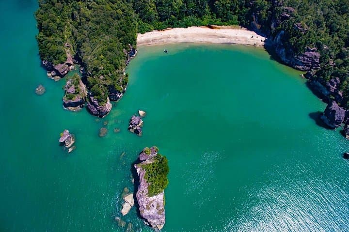 Bako National Park Day Trip from Kuching — Proboscis Monkeys, Mangroves & Coastal Trails photo 4