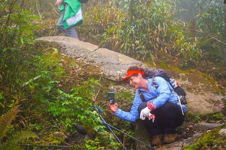 Fansipan Summit Trek: 2-Day Push to the Roof of Indochina photo 3