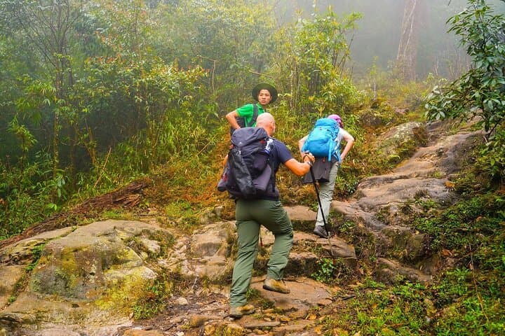 Fansipan Summit Trek: 2-Day Push to the Roof of Indochina photo 4
