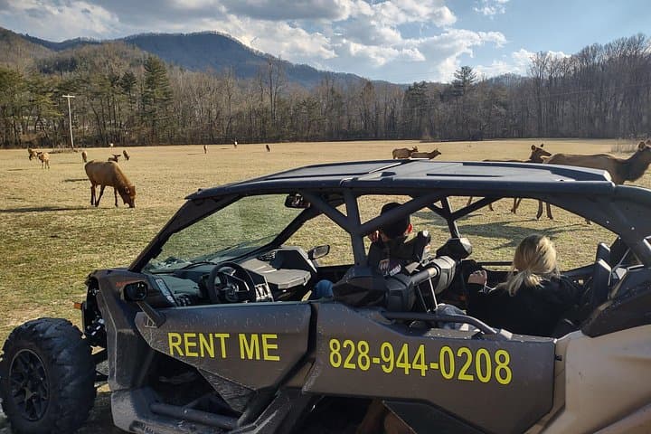 Maggie Valley UTV Elk Eco Adventure: 3–3.5 Hour Off-Road Tour