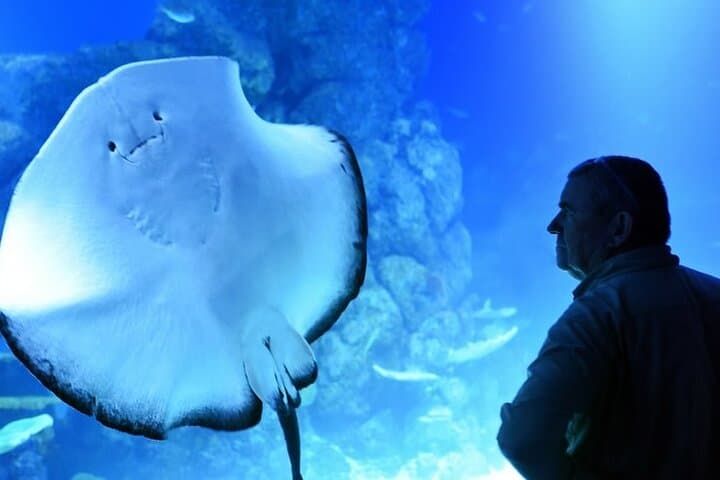 Inside Dubai Aquarium & Underwater Zoo: A Practical Visitor’s Guide photo 2