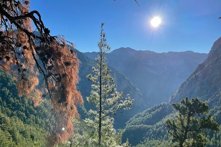 White Mountains & Samaria Gorge Safari — Omalos Plateau, Kallergi Refuge & Samaria National Park photo 5