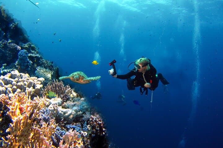 Beginner Scuba Diving in San Andrés: 4-Hour Introductory Dive Experience photo 6