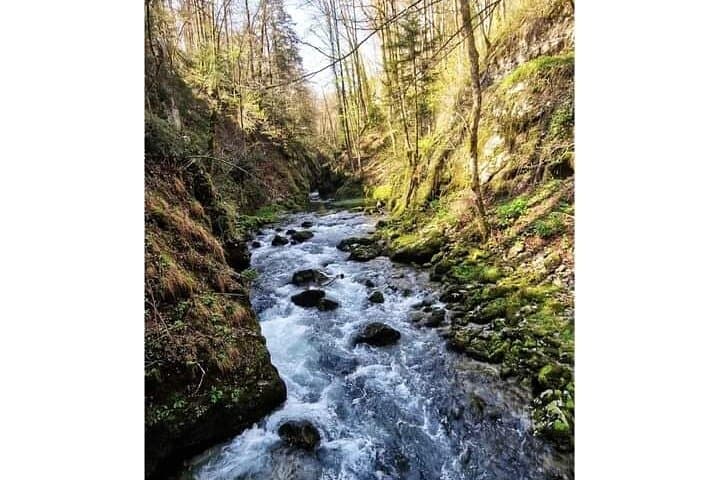 Kamačnik Canyon: Full-Day Private Guided Hike from Pula photo 6
