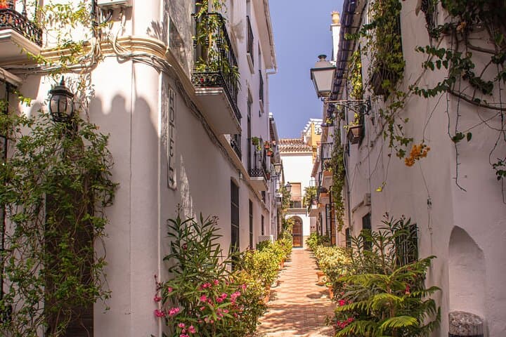 Private Custom Walking Tour in Marbella: Local Guide-Led Old Town & Waterfront Experience photo 4