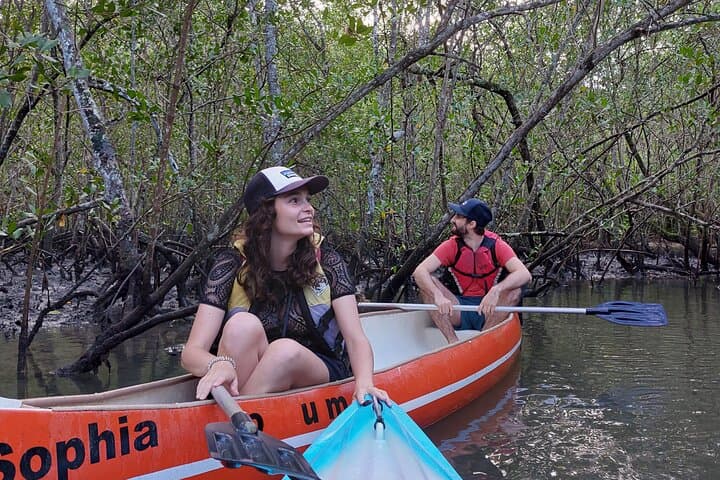 Sunrise Paddling in Paraty: Bay Canoe & Kayak Experience photo 4