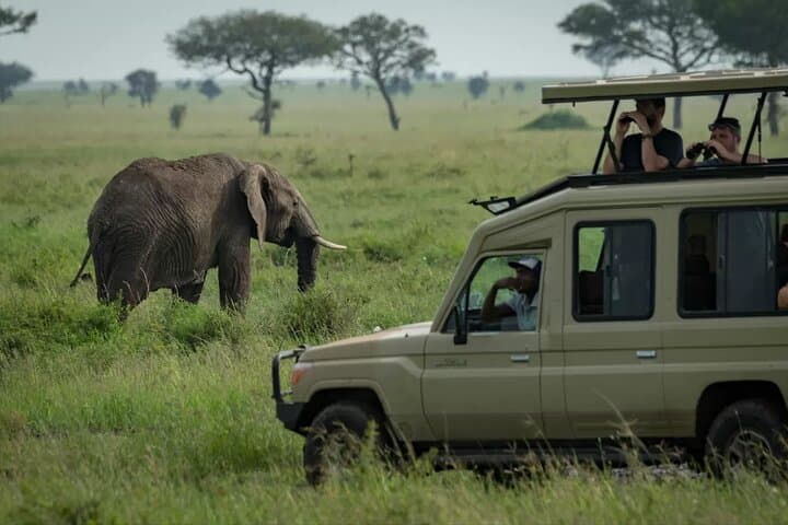 Tarangire Full-Day Safari: Elephants, Baobabs & Birding from Arusha photo 2