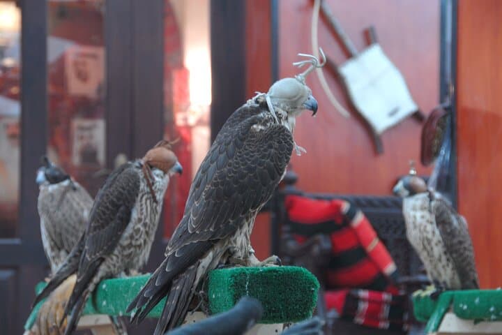Doha in Four Hours: Express City Tour of Corniche, Katara & Souq Waqif photo 6