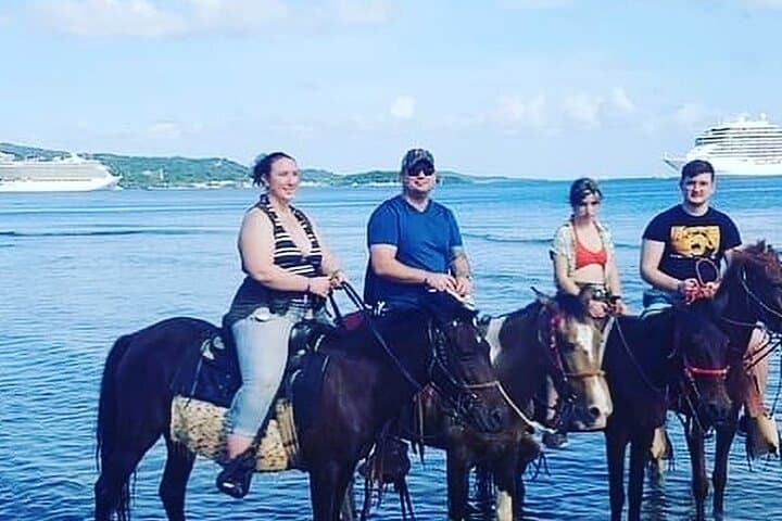 Roatán Sloth and Horseback Riding Adventure: Jungle Trails to Ocean Views photo 6