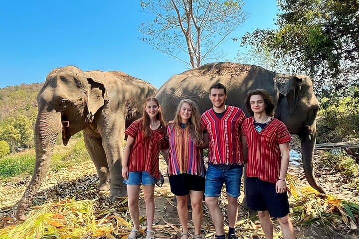 Chiang Mai Ethical Elephant Experience: 1-Day Eco Tour photo 3