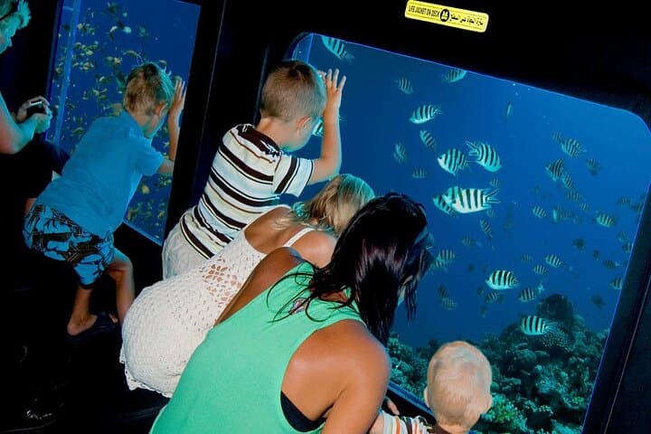 Sharm El-Sheikh Royal Seascope Semi-Submarine Cruise: Red Sea Reef Viewing photo 4