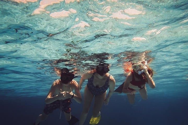 Stingray City & Coral Garden Snorkel on a 50ft Catamaran — Grand Cayman photo 2
