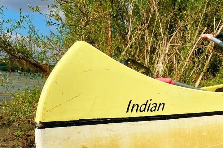 3-Day Danube Delta Canoe & Camping Tour from Tulcea photo 6