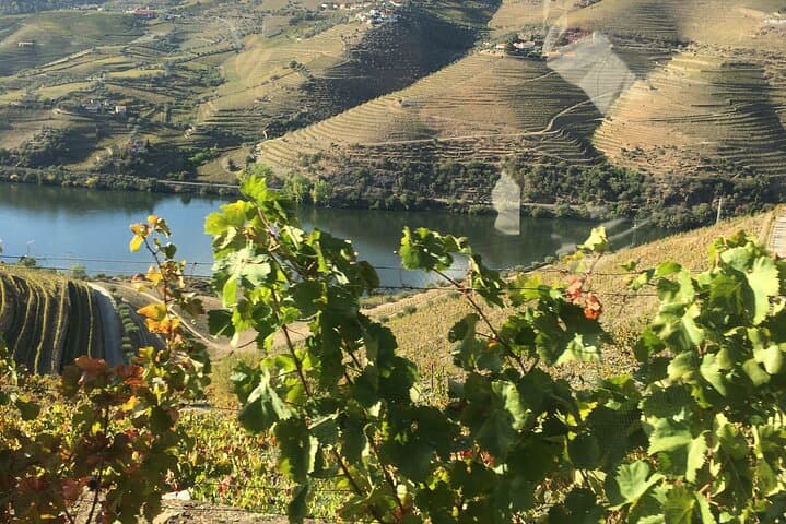 Off-Road Douro Valley 4x4 Private Tour from Porto