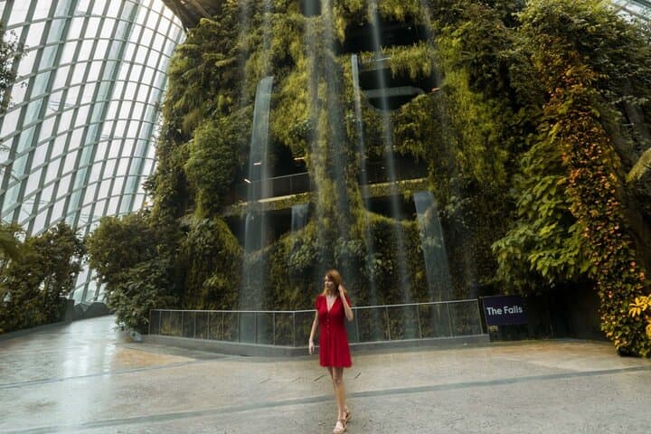 Gardens by the Bay Triple Combo: Cloud Forest, Flower Dome & Supertree Light Show photo 6