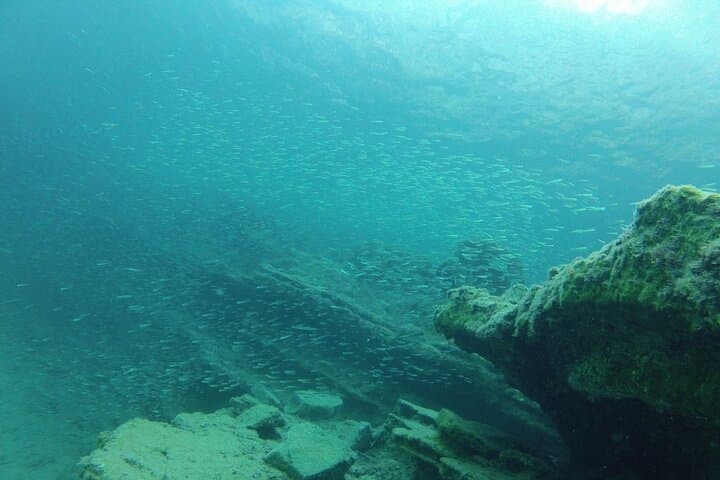Beginner Snorkel in Mirabello Bay with the Blue Dolphin Team photo 2