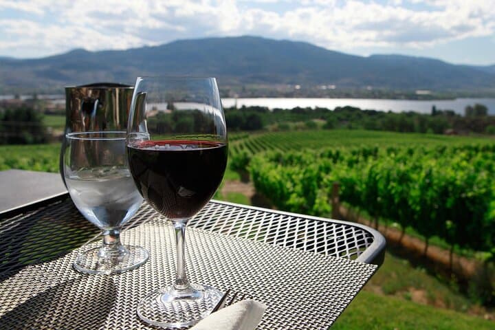 Niagara Wine Trail Private Guided Tour: 4–5 Wineries from Niagara Falls photo 2