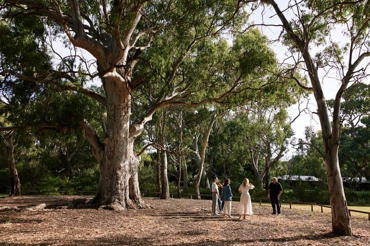 Warriparinga Cultural Walk — Kaurna Guided Tour & Wetlands History near Adelaide photo 3